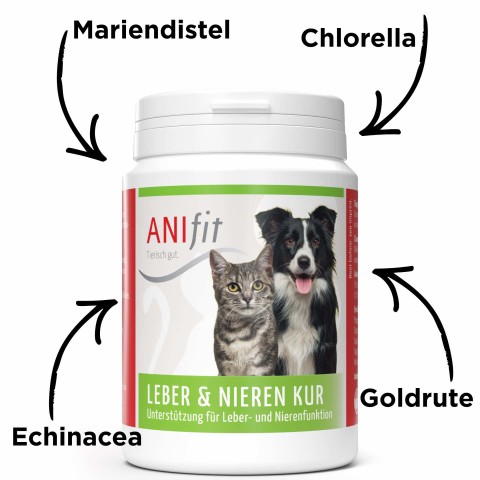 Hond Kat Voedingssupplementen Fit Start 50g 1 Set -3- Anifit